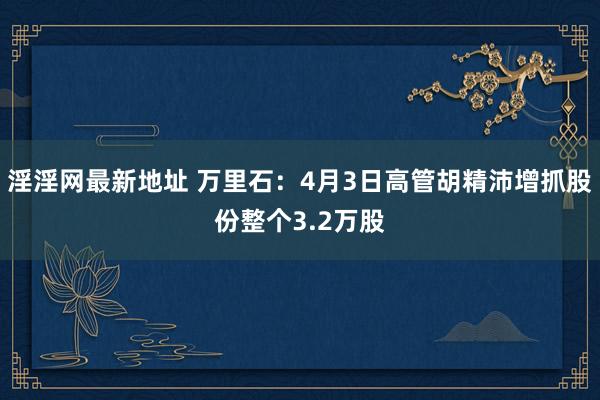 淫淫网最新地址 万里石：4月3日高管胡精沛增抓股份整个3.2万股