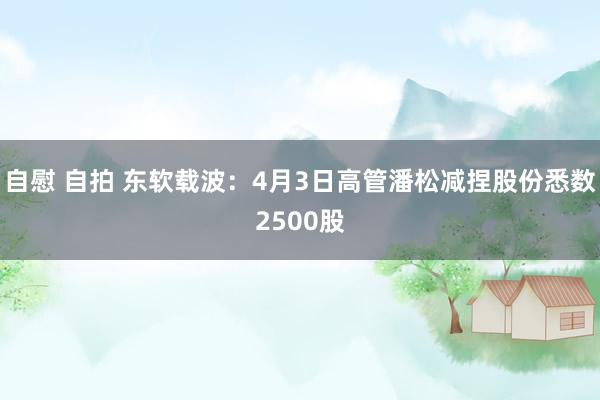自慰 自拍 东软载波：4月3日高管潘松减捏股份悉数2500股