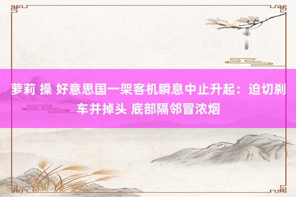萝莉 操 好意思国一架客机瞬息中止升起：迫切刹车并掉头 底部隔邻冒浓烟