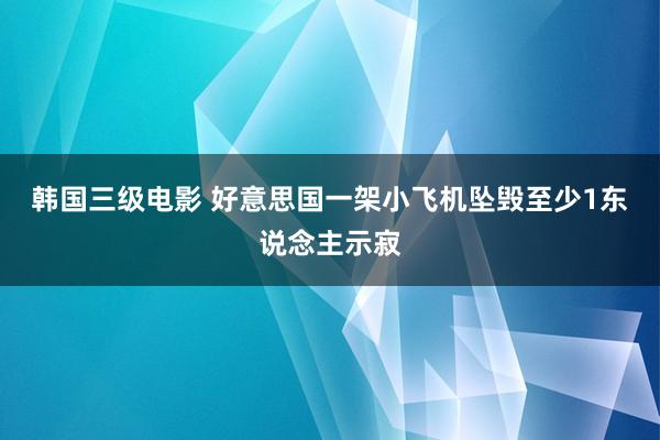 韩国三级电影 好意思国一架小飞机坠毁　至少1东说念主示寂