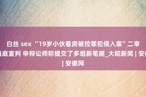 白丝 sex “19岁小伙看房被控罪犯侵入案”二审未当庭宣判 申辩讼师称提交了多组新笔据_大皖新闻 | 安徽网