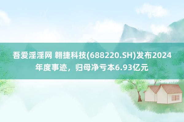 吾爱淫淫网 翱捷科技(688220.SH)发布2024年度事迹，归母净亏本6.93亿元