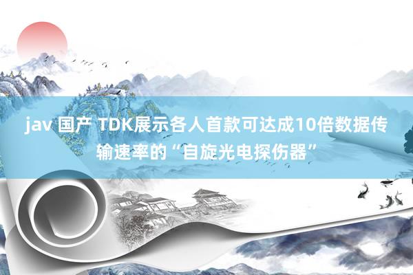 jav 国产 TDK展示各人首款可达成10倍数据传输速率的“自旋光电探伤器”