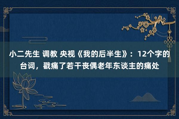 小二先生 调教 央视《我的后半生》：12个字的台词，戳痛了若干丧偶老年东谈主的痛处