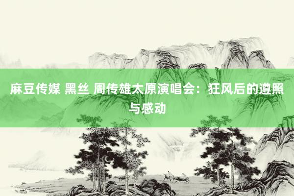 麻豆传媒 黑丝 周传雄太原演唱会：狂风后的遵照与感动