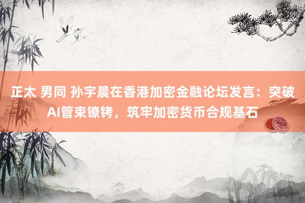 正太 男同 孙宇晨在香港加密金融论坛发言：突破AI管束镣铐，筑牢加密货币合规基石