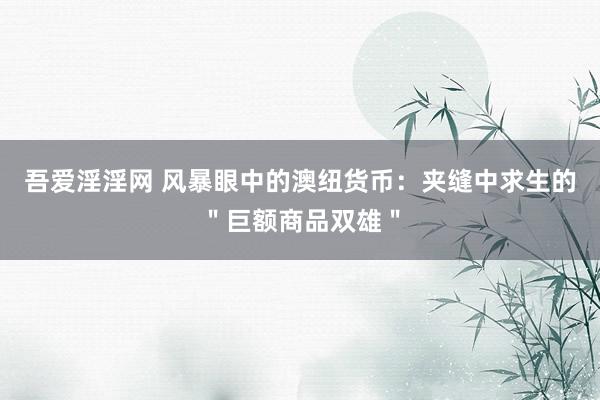 吾爱淫淫网 风暴眼中的澳纽货币：夹缝中求生的＂巨额商品双雄＂