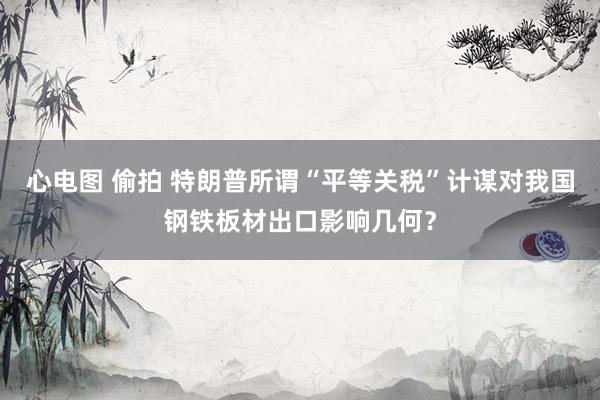 心电图 偷拍 特朗普所谓“平等关税”计谋对我国钢铁板材出口影响几何？