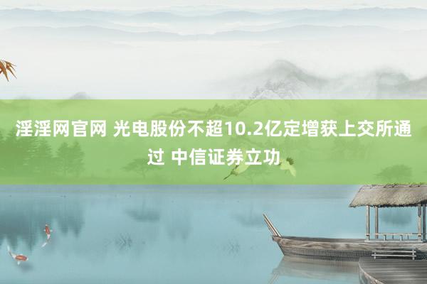 淫淫网官网 光电股份不超10.2亿定增获上交所通过 中信证券立功