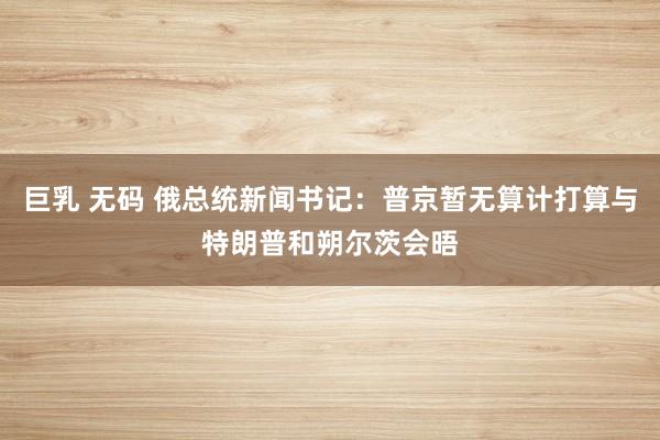 巨乳 无码 俄总统新闻书记：普京暂无算计打算与特朗普和朔尔茨会晤