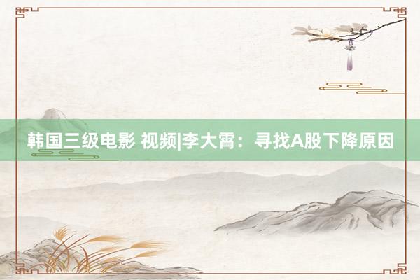 韩国三级电影 视频|李大霄：寻找A股下降原因