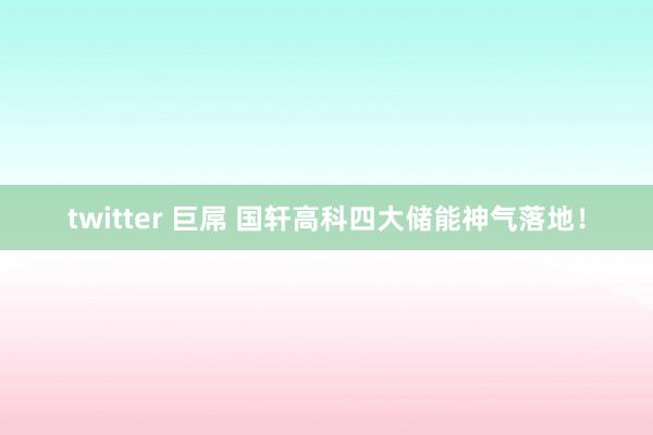 twitter 巨屌 国轩高科四大储能神气落地！