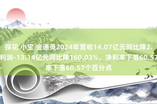 探花 小宝 金通灵2024年营收14.07亿元同比降2.95%，净利润-13.14亿元同比降160.03%，净利率下落60.57个百分点