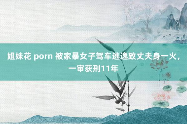 姐妹花 porn 被家暴女子驾车逃逸致丈夫身一火，一审获刑11年