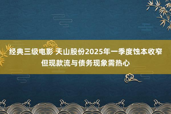 经典三级电影 天山股份2025年一季度蚀本收窄但现款流与债务现象需热心