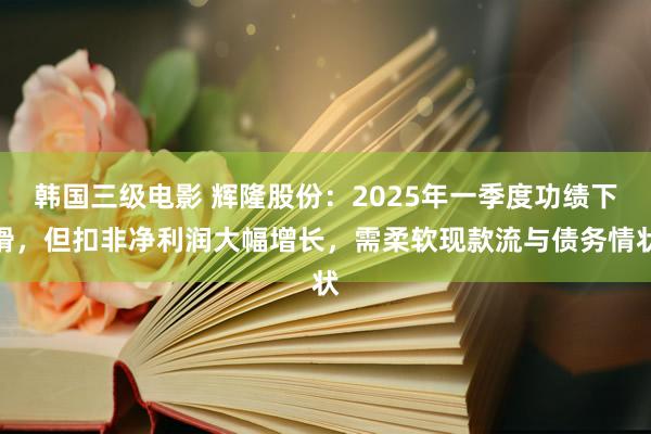 韩国三级电影 辉隆股份：2025年一季度功绩下滑，但扣非净利润大幅增长，需柔软现款流与债务情状