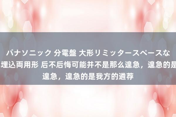 パナソニック 分電盤 大形リミッタースペースなし 露出・半埋込両用形 后不后悔可能并不是那么遑急，遑急的是我方的遴荐
